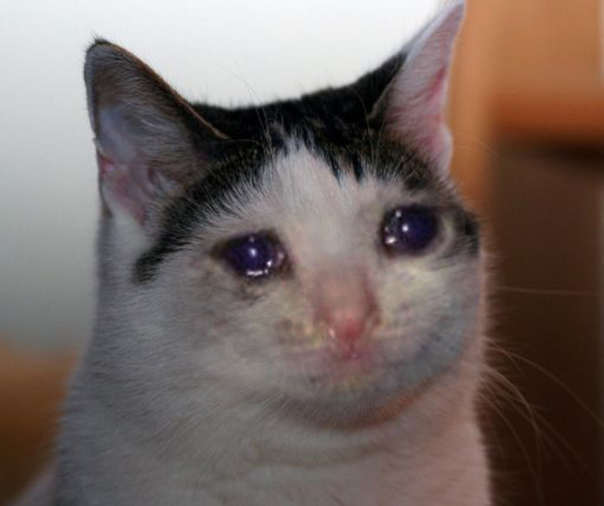 Sad Cat Face meme Base By LyaiDemon On DeviantArt Sad cat face meme base by lyaidemon on deviantart