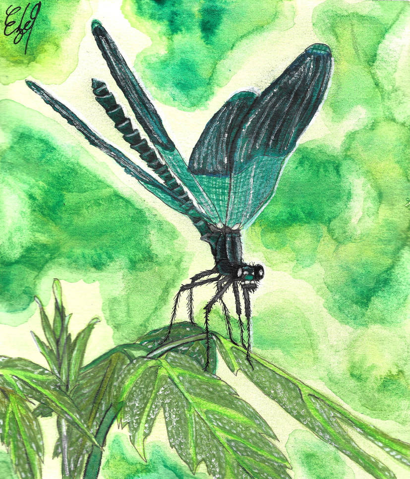Dragonfly Deviantart Dragonfly by Ezeqart on DeviantArt