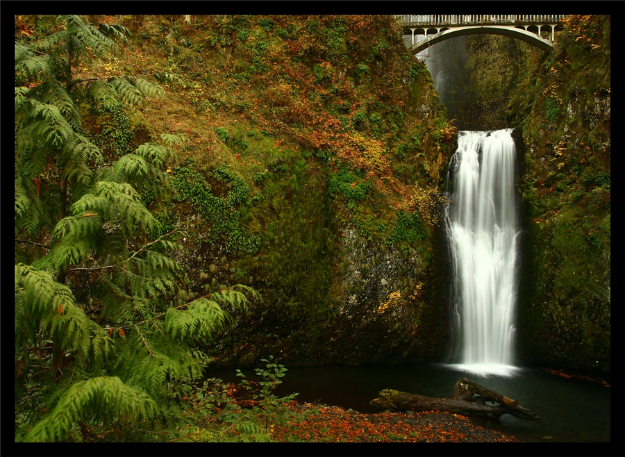 Lower Multnomah Falls