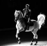 Lipizzaner Stallion by La-Vita-a-Bella