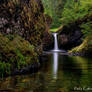 Waterfall - Punchbowl Falls