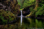 Waterfall - Punchbowl Falls by La-Vita-a-Bella