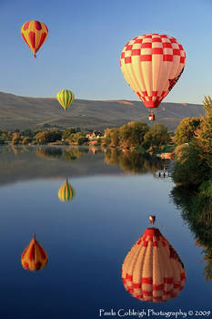 Balloon Reflections