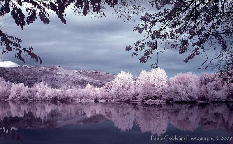 Infrared Secluded View
