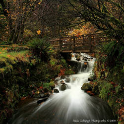 Wahkeena Creek and Bridge