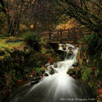 Wahkeena Creek and Bridge by La-Vita-a-Bella