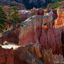 Bryce Canyon Morning Light