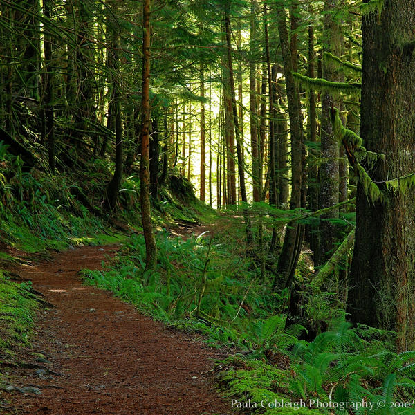 Boulder River Trail