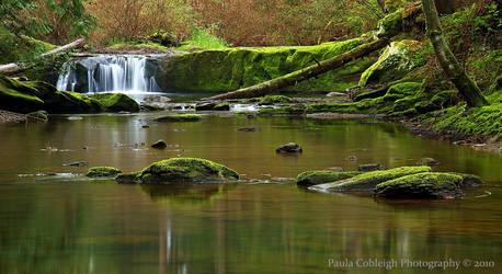 Middle Whatcom Falls II