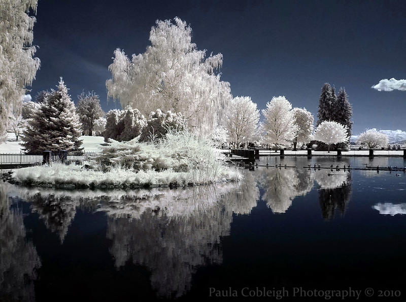 Time Stands Still - Infrared by La-Vita-a-Bella