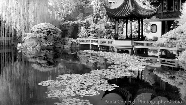 Infrared Chinese Garden