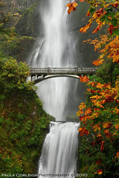 Waterfall - Multnomah Falls 'n Fall Leaves