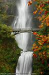 Waterfall - Multnomah Falls 'n Fall Leaves by La-Vita-a-Bella