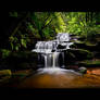 Leura Cascades - NSW