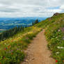 Silver Star Mountain Trail