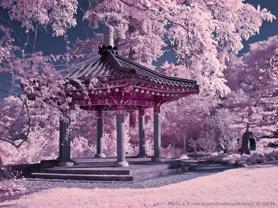 Infrared Korean Pavilion