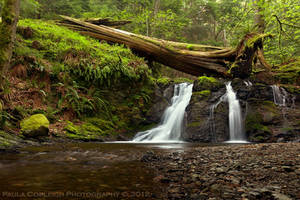 Waterfall - Rustic Falls revisited