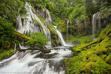 Waterfall - Panther Creek Falls by La-Vita-a-Bella