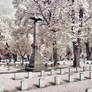 Infrared Cemetery II