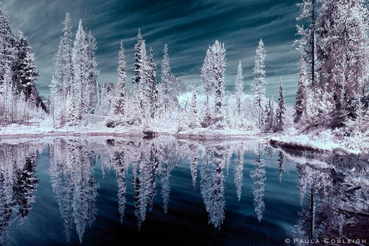 Infrared Tarn