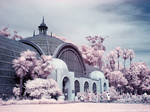 Infrared Botanical Garden by La-Vita-a-Bella