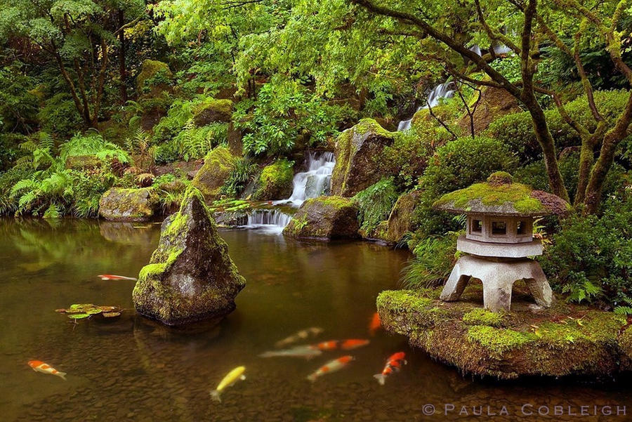 Zen Garden