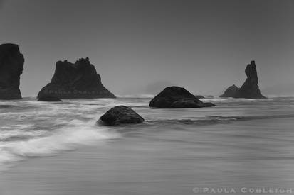 Bandon Beach on a foggy evening