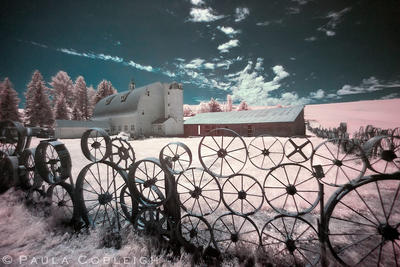 Dahmen Barn / Wagon Wheel Fence - Infrared