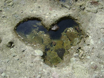heart shaped hole on the floor