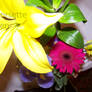 100 pic challenge flowers