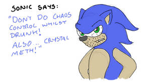 Sonic Says