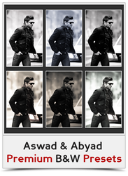 Aswad Abyad Premium BW Presets by khaledzz9