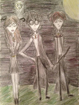 Tim Burton Style Harry Potter