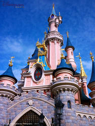 Sleeping Beauty Castle