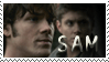 Supernatural Stamp 3 : Sam