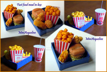 Mini Box of fast food meal