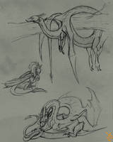 Flight rising sketches