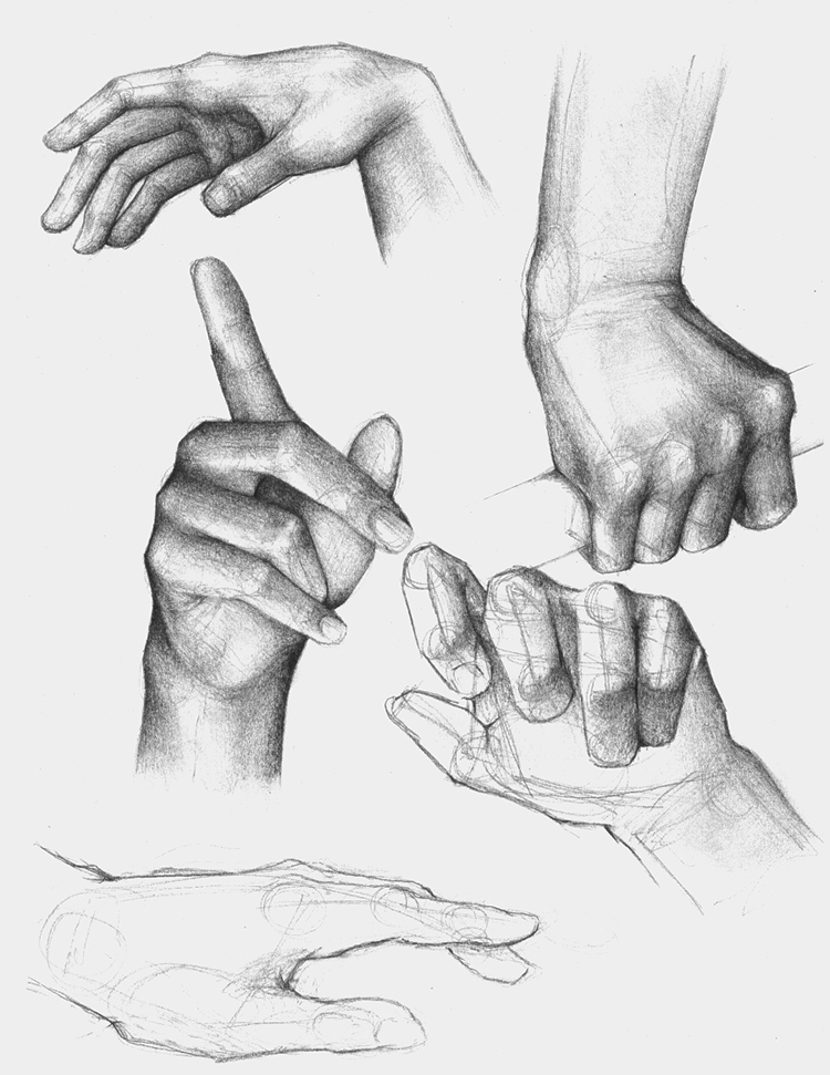 Hand Study by doodlingdruid on DeviantArt