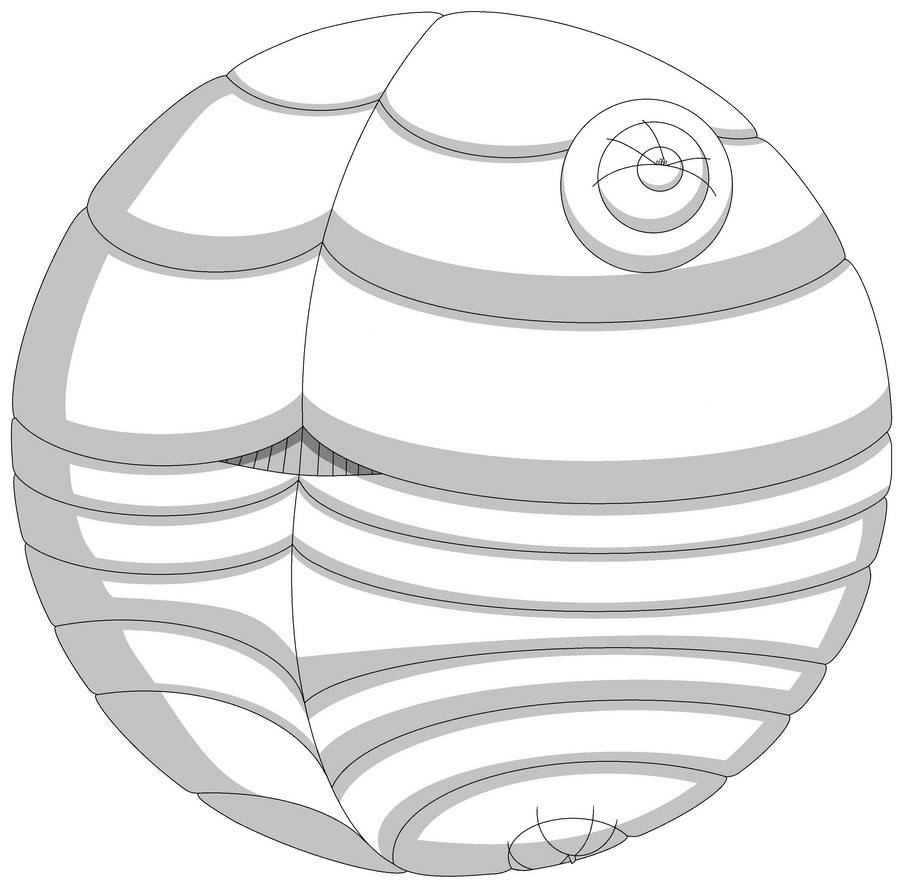 Over Inflated Base Overinflated Pillow Suit Base by nickysartprofile on DeviantArt