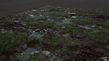 Organic Grass/Mud Texture