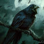 3 Eyed Raven