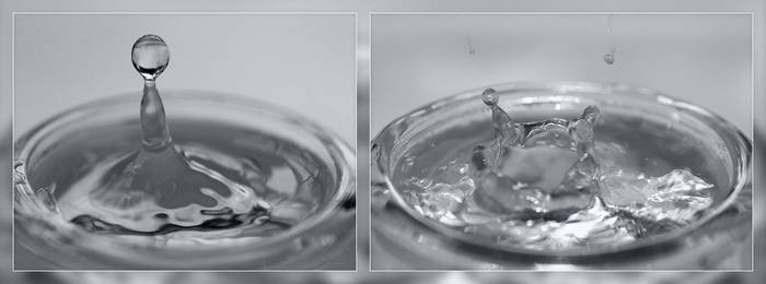 Water Drops