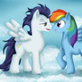 Soarin and Rainbow Dash