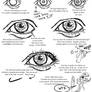 Eyes: At A Glance