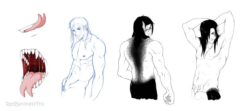 Seth's body studies