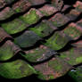 Just an old roof