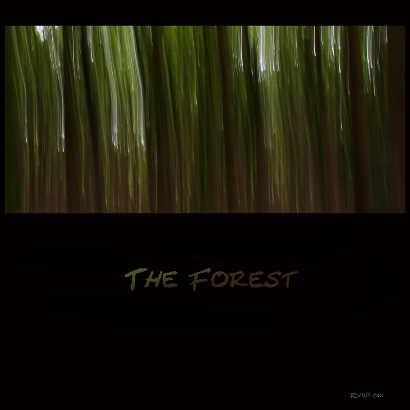 The Forest II