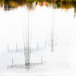 Upside down by Rob1962