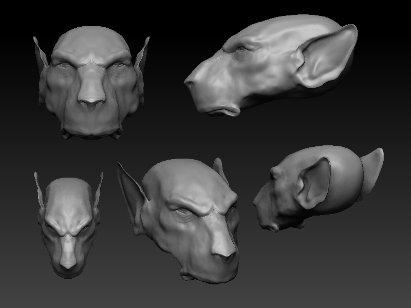 Zbrush Rat Head