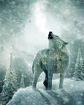 Howling in the Cold by no1intheworld